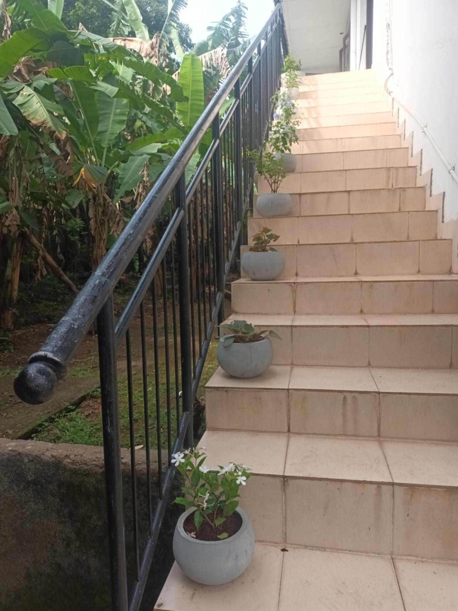 Lovely Flowers In Mount Lavinia Dehiwala-Mount Lavinia Exterior foto