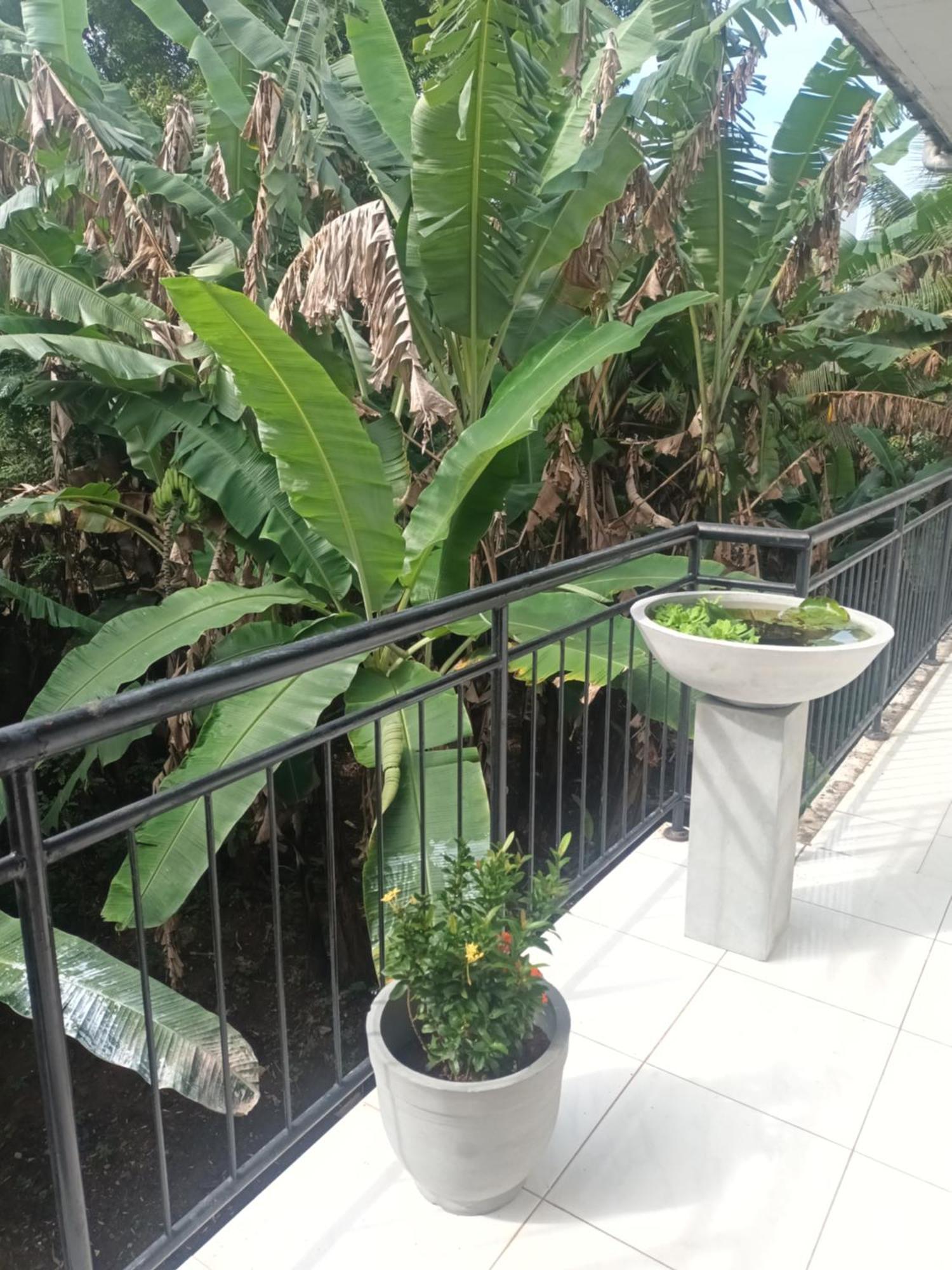 Lovely Flowers In Mount Lavinia Dehiwala-Mount Lavinia Exterior foto