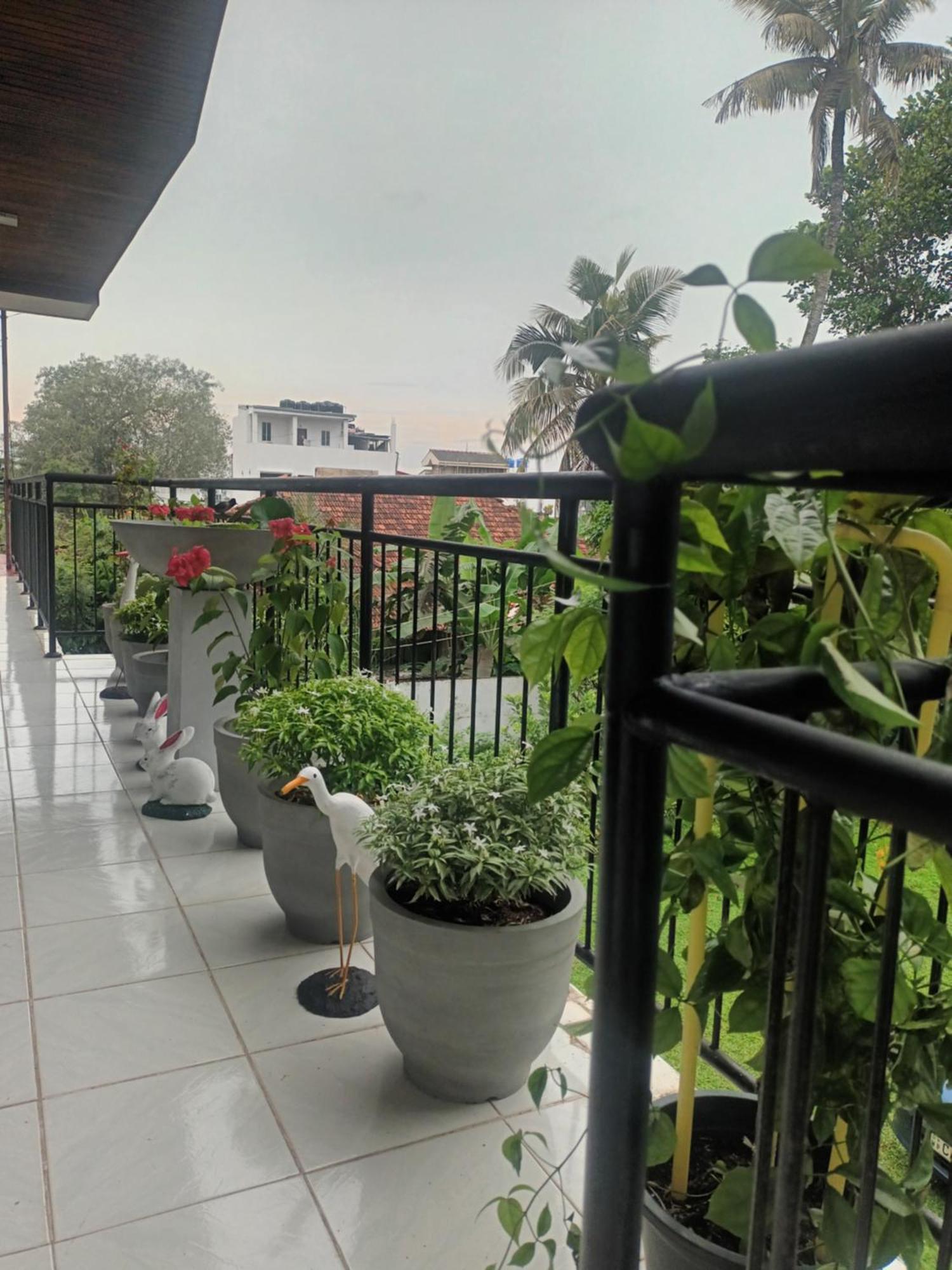 Lovely Flowers In Mount Lavinia Dehiwala-Mount Lavinia Exterior foto